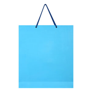 PrdCraft International Blue Paper Bag | 220 GSM | 100% Recyclable Eco Friendly | Pack Of 60