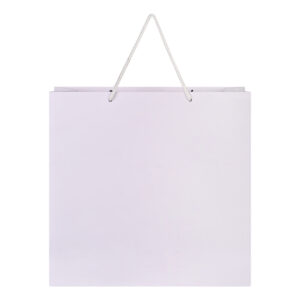 PrdCraft White Paper Carry Bag | Shopping Paper Carry Bag | Recycled Eco Friendly Craft Paper Retail Bag
