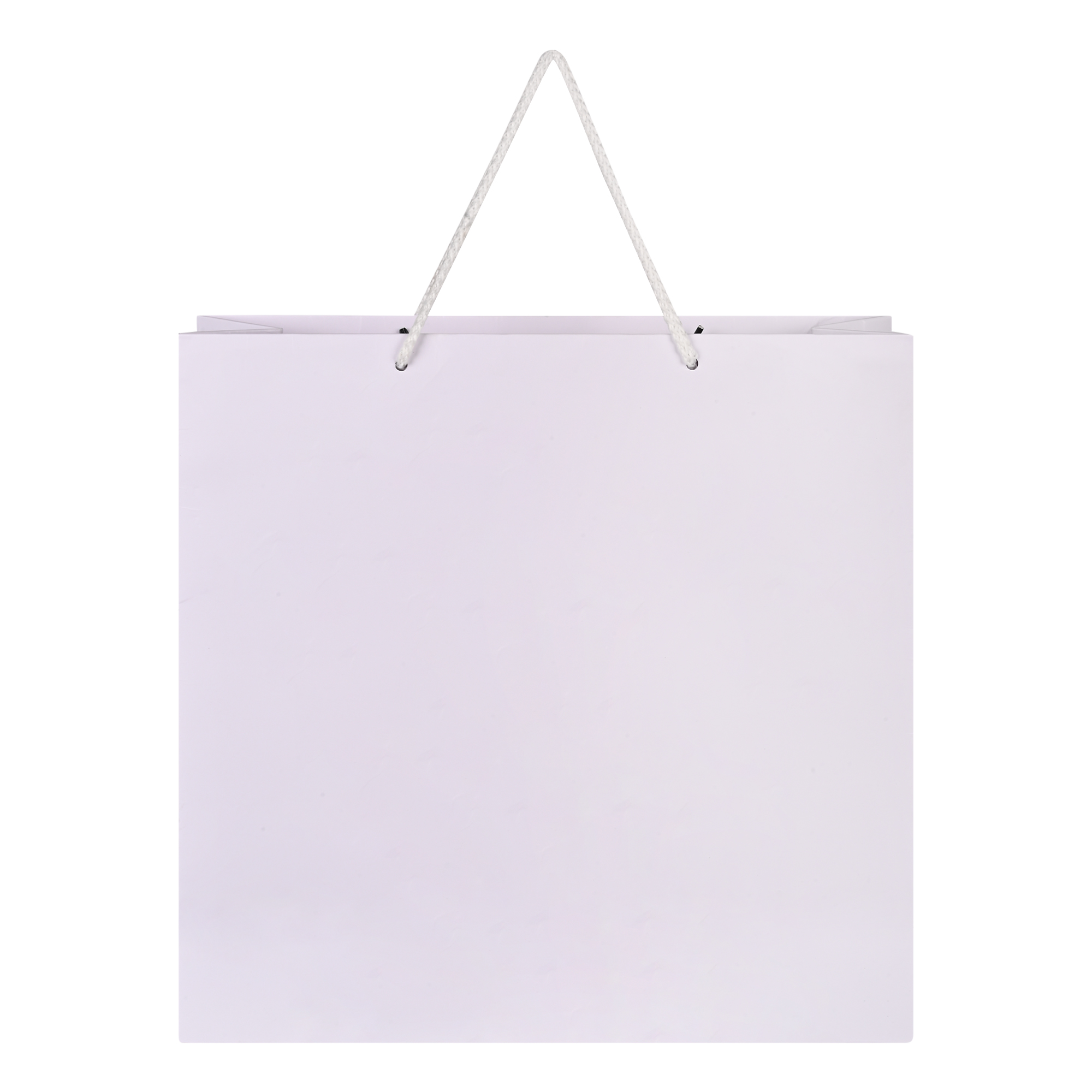 Washable paper bags - large carry bag, short handles | IGRO
