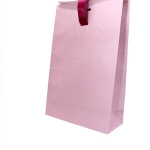 Ribbon Handles Paper Bags